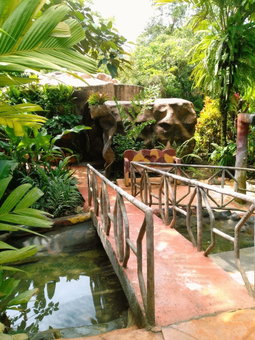 Blue River Resort & Hot Springs, Guayabo, Costa Rica