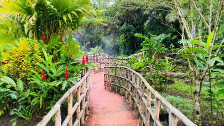 Blue River Resort & Hot Springs, Guayabo, Costa Rica
