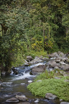 Savegre Hotel Natural Reserve & Spa, San Isidro, Costa Rica