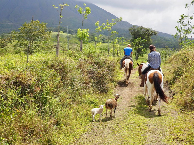 Arenal Paraiso Resort Spa & Thermo Mineral Hot Springs, Fortuna, Costa Rica