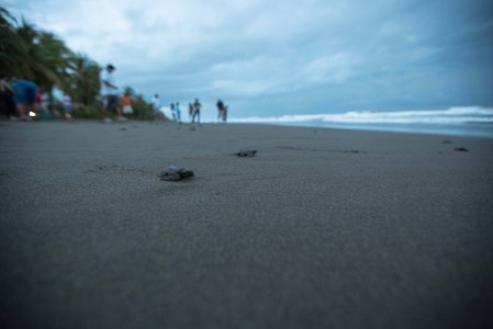 Clandestino Beach, Parrita, Costa Rica
