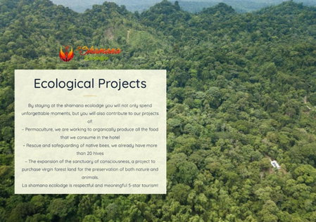 La Shamana - Ecological Concept in Jungle, Cahuita, Costa Rica