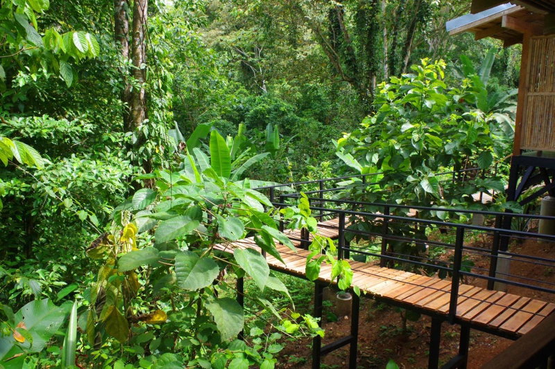 La Shamana - Ecological Concept in Jungle, Cahuita, Costa Rica