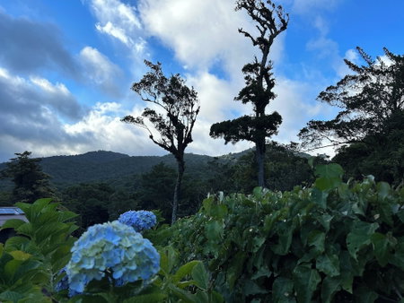 Trapp Family Lodge, Monteverde, Costa Rica