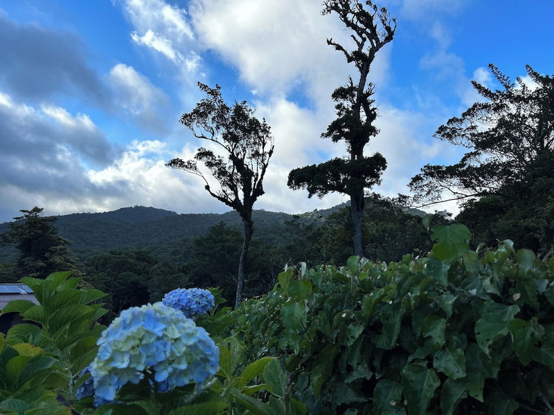 Trapp Family Lodge, Monteverde, Costa Rica