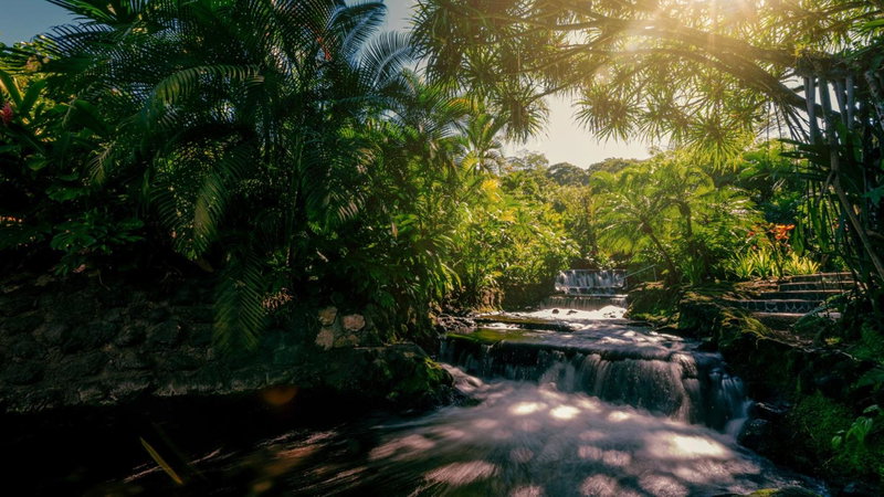 Tabacón Thermal Resort & Spa, Fortuna, Costa Rica