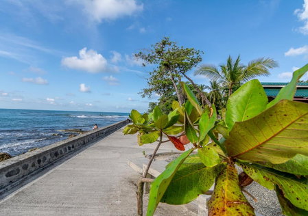 Cabinas Arrecife, Cahuita, Коста-Рика