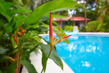 Living Hotel, Nosara, Коста-Рика