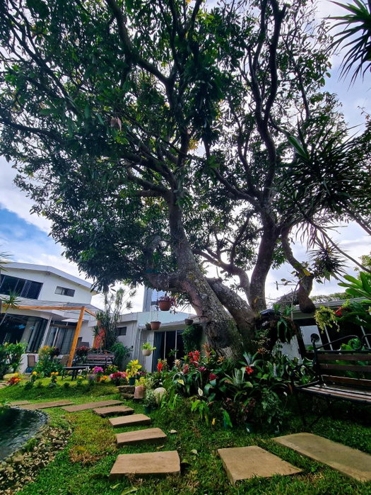 Casa Jardin del Mango, San Jose, Коста-Рика