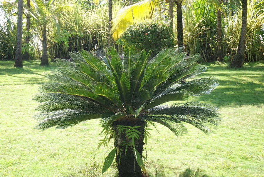 Beso del Viento (Adults Only), Parrita, Costa Rica