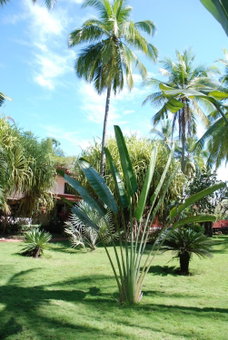 Beso del Viento (Adults Only), Parrita, Costa Rica