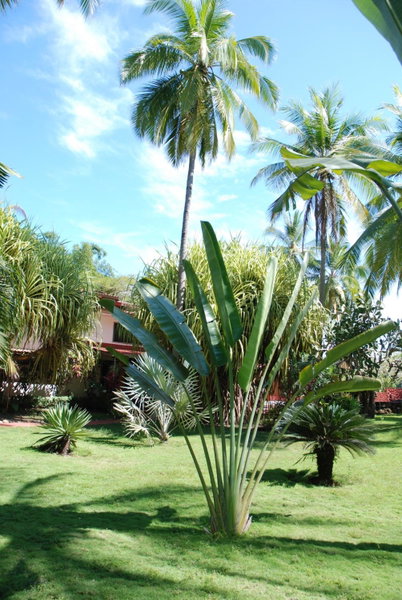 Beso del Viento (Adults Only), Parrita, Costa Rica