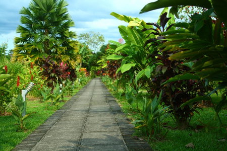 Volcano Lodge, Hotel & Thermal Experience, Fortuna, Costa Rica