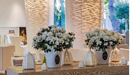 Alasia Boutique Hotel, Limassol, Кипр