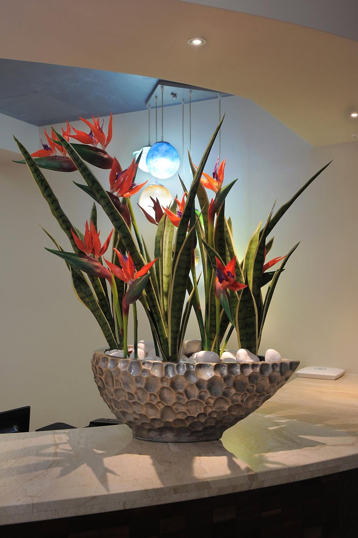 Hotel · Nelia Gardens, Protaras