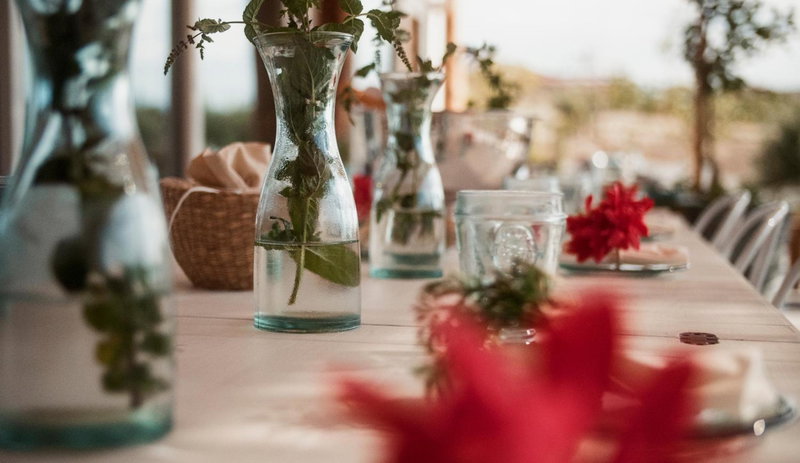Aelia Wellness Retreat, Kato Lakatameia, Cyprus