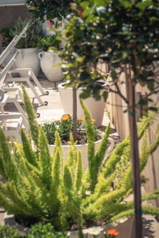 Chrielka Hotel, Limassol, Cyprus