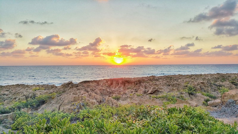Cynthiana Beach Hotel, Paphos, Chypre