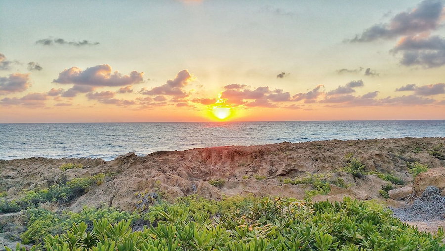 Cynthiana Beach Hotel, Paphos, Chypre