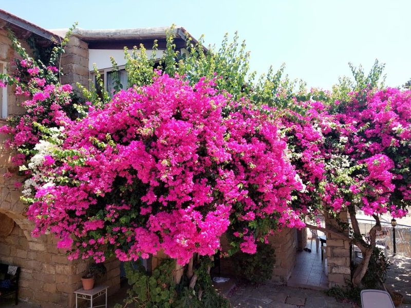 Cyprus Villages - Hotel & Restaurant - Central Location - Bed & Breakfast With Access To Pool And Stunning Views, Germasogeia, Cyprus
