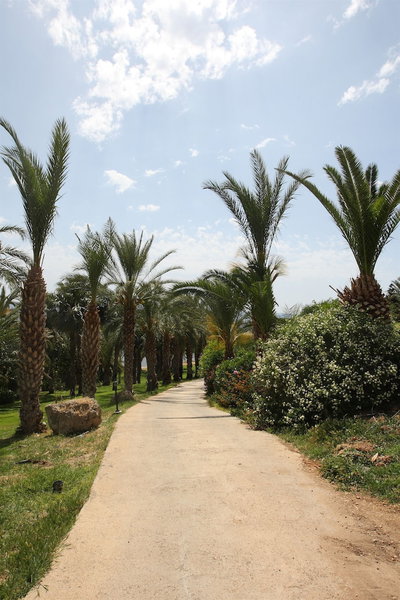 Ascos Coral Beach Hotel, Paphos, Chypre