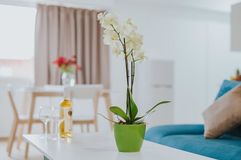 Stephanie Studios, Larnaca, Кипр