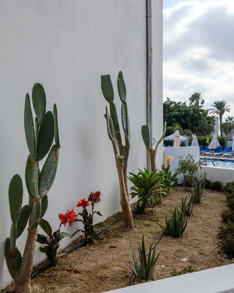 Pandream Hotel Apartments, Paphos, Chipre