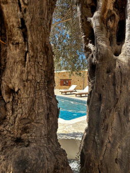 Stone Court Boutique Studios, Paphos, Кипр