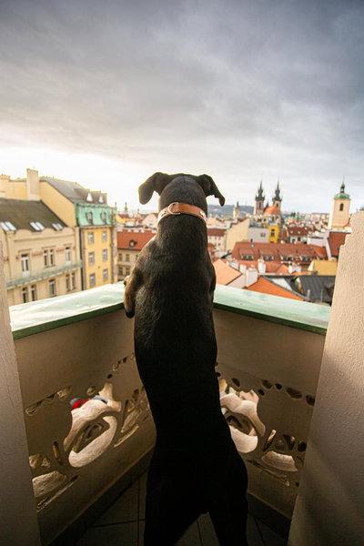 Hotel Paris Prague, Prague, Tchéquie