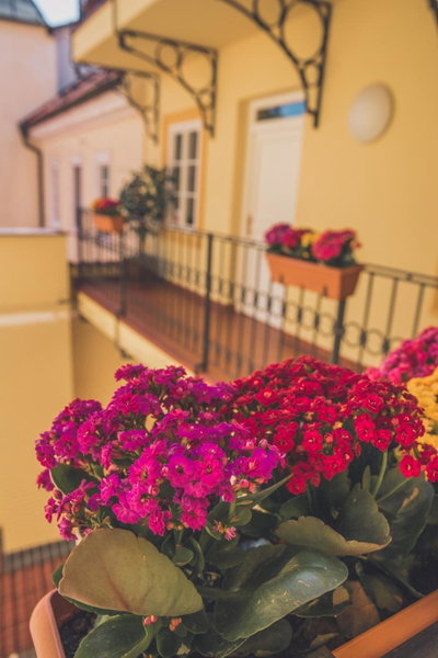 Boutique Hotel Constans, Prague, Tschechien