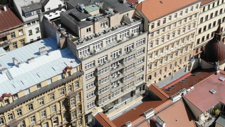 Amarilis, Prague, República Checa