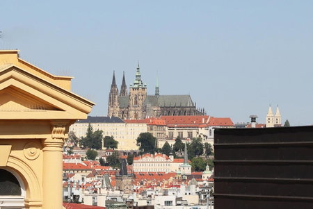 Amarilis, Prague, República Checa