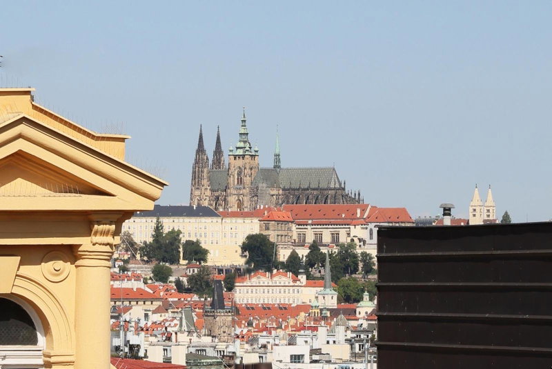 Amarilis, Prague, República Checa