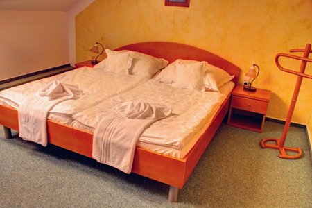 BIRDIE Pension & Wellness, Pardubice, Czechia