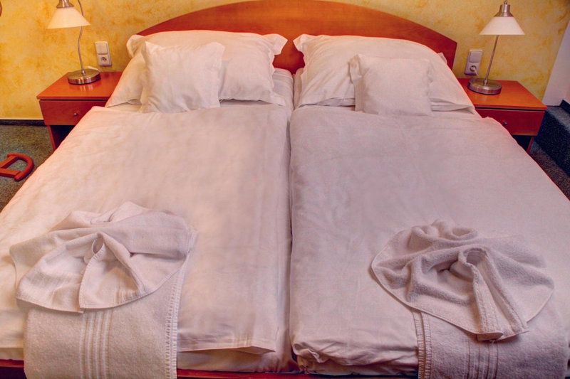 BIRDIE Pension & Wellness, Pardubice, Czechia