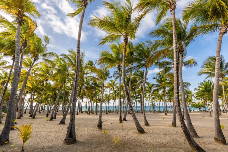 Senator Puerto Plata, Puerto Plata, Dominikanische Republik