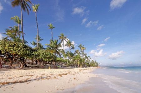 Grand Palladium Palace Resort Spa & Casino - All Inclusive, Punta Cana, Dominican Republic