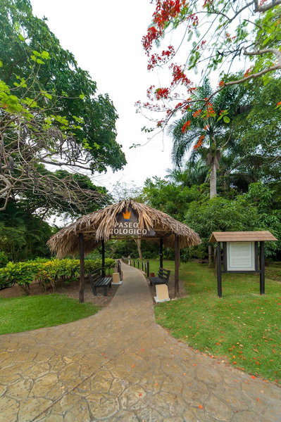 Princess Family Club Bavaro - All Inclusive, Punta Cana, Dominican Republic