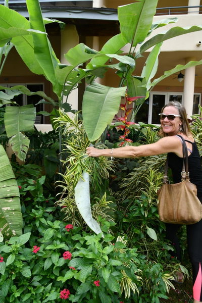 Hotel Alisei, Las Terrenas, République dominicaine