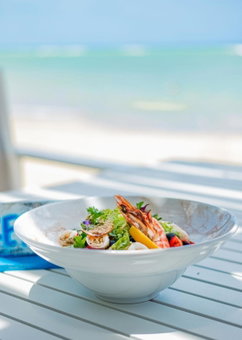 Playa Palmera Beach Resort, Punta Cana, Dominican Republic