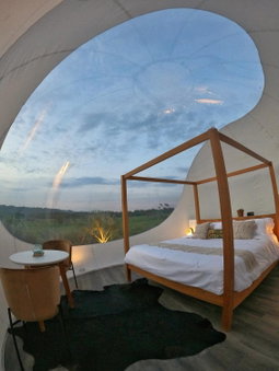 Green Land Bubble Glamping, Monte Llano, Dominican Republic