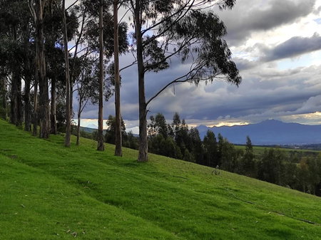 Hacienda Las Cuevas Terra Lodge, Quito, Ecuador