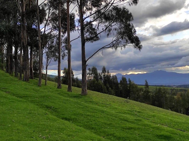 Hacienda Las Cuevas Terra Lodge, Quito, Ecuador