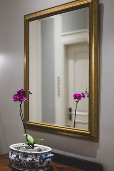 Hotel del Parque, Guayaquil, Équateur