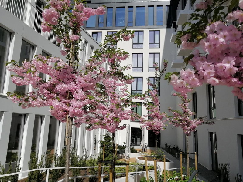 Movenpick Hotel Tallinn, Tallinn, Эстония