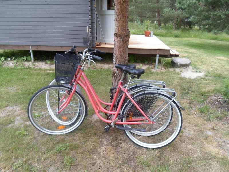 Tihase puhkemajake, Pärnu, Estonie