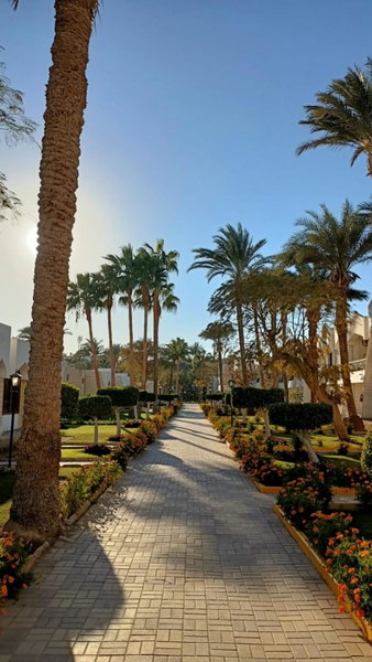 Regina Resort and Aqua Park Hurghada, Hurghada, Египет