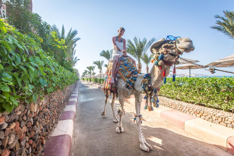 Sunny Days El Palacio Resort & Spa, Hurghada, Египет