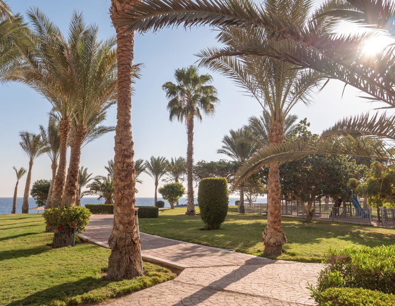 SRNTY Sea Reef - Ex Serenity Alpha Beach, Safaga, Egypt