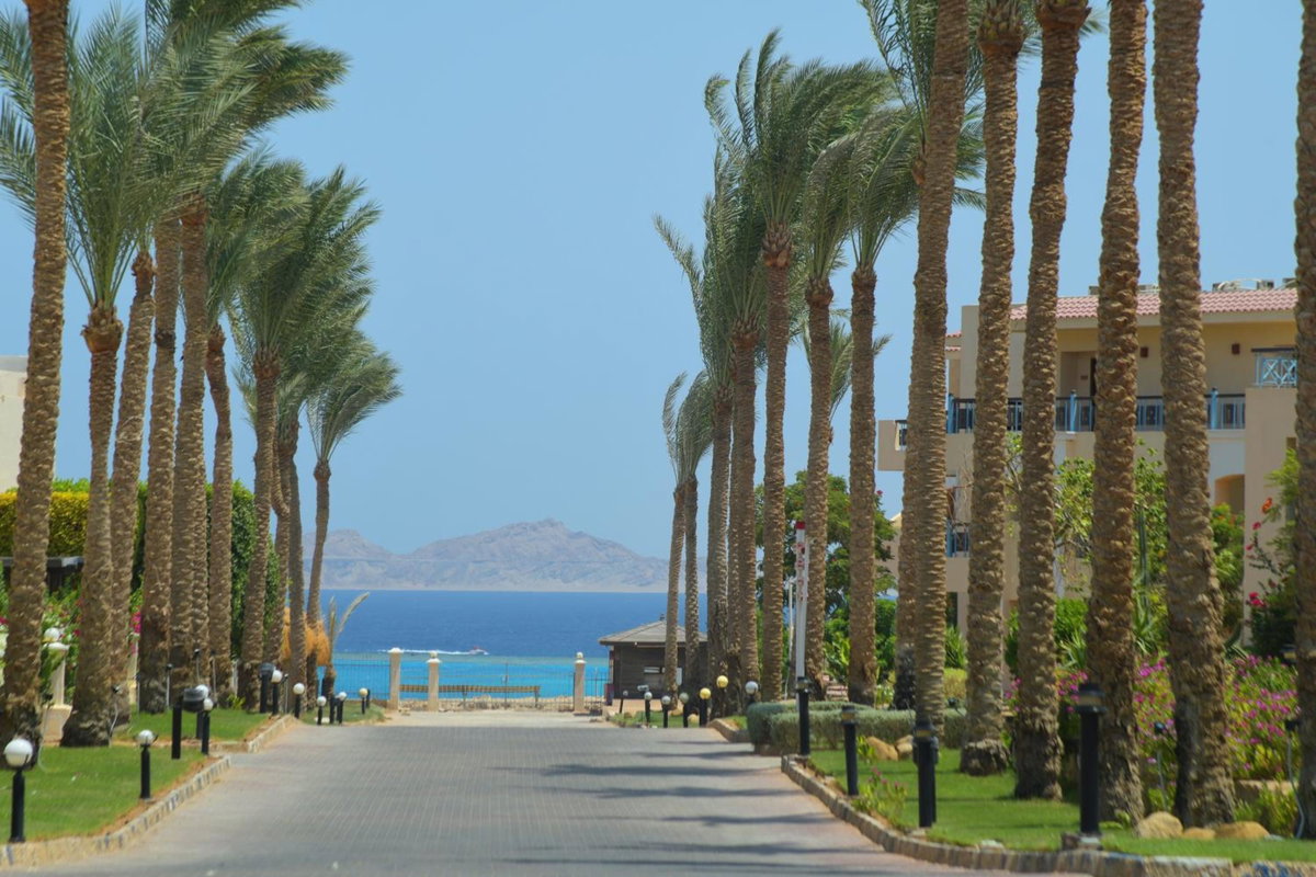 Ivy Cyrene Sharm Resort Adults Friendly Plus 13, Египет